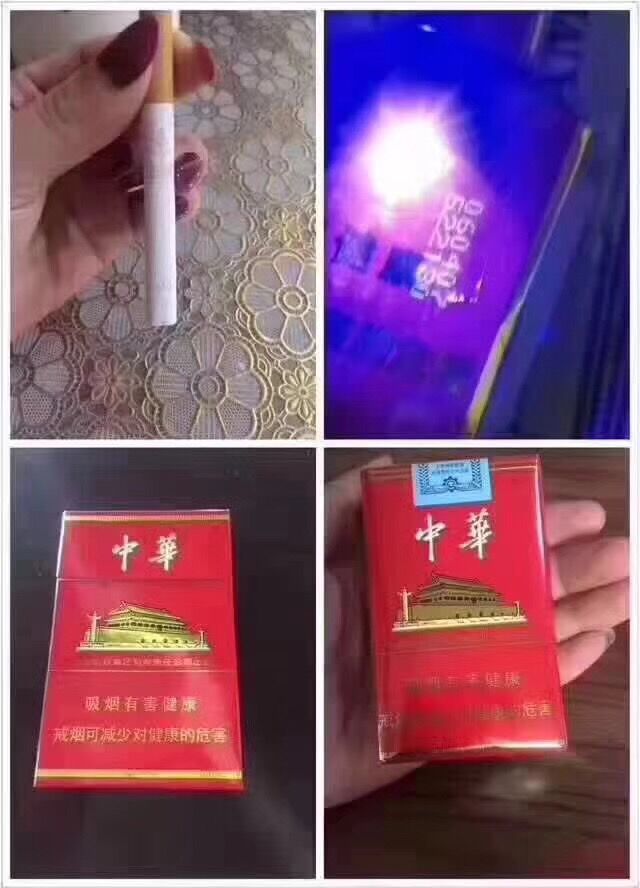 香烟代理是一种生于南美洲的植物