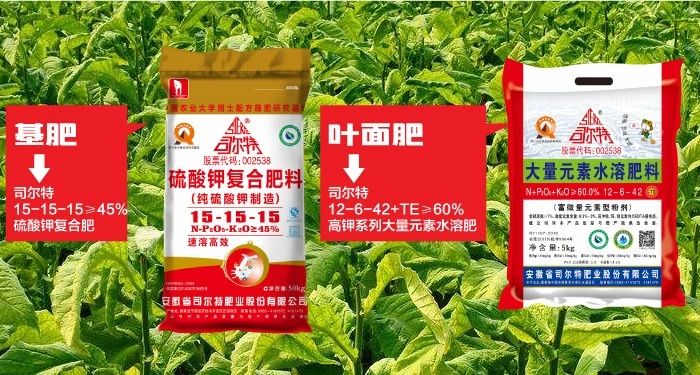 天津市农业委员会介绍烟草施肥方法